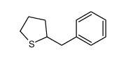 2-benzylthiolane Structure