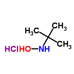 n-(tert-butyl)hydroxylamine hydrochloride Structure