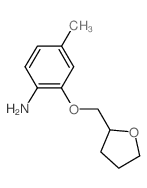 4-Methyl-2-(tetrahydro-2-furanylmethoxy)aniline Structure