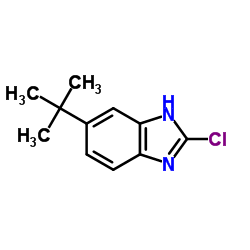 2-Chloro-6-(2-methyl-2-propanyl)-1H-benzimidazole结构式