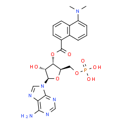 (5-(dimethylamino)-1-naphthoyl)adenosine monophosphate picture