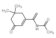 N-[1-(5,5-DIMETHYL-3-OXO-CYCLOHEX-1-ENYL)-VINYL]-ACETAMIDE structure
