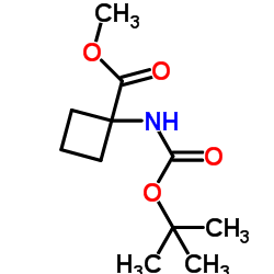 Cyclobutanecarboxylic acid, 1-[[(1,1-dimethylethoxy)carbonyl]amino]-, Methyl ester structure