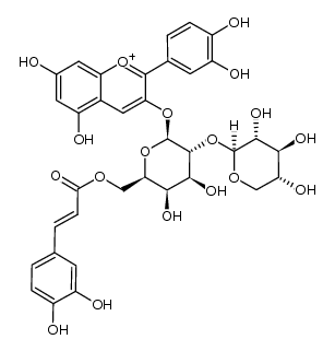 cyanidin 3-O-[2-O-(β-xylopyranosyl)-6-O-((E)-caffeoyl)-β-galactopyranoside] Structure