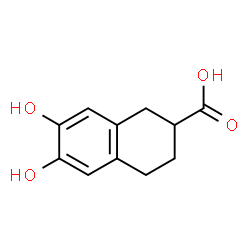 2-Naphthalenecarboxylicacid,1,2,3,4-tetrahydro-6,7-dihydroxy-(9CI)结构式