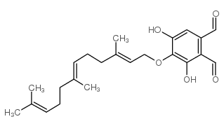 asperugin B Structure