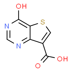 4-oxo-3,4-dihydrothieno[3,2-d]pyrimidine-7-carboxylic acid picture