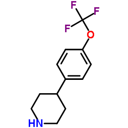 4-[4-(Trifluoromethoxy)phenyl]piperidine结构式