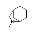 6-methyl-6-azabicyclo[3.2.1]octane结构式