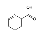 delta-1-piperidine-6-carboxylic acid picture