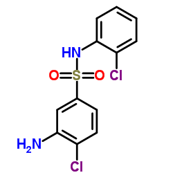 3-AMINO-4-CHLORO-N-(2-CHLORO-PHENYL)-BENZENESULFONAMIDE picture
