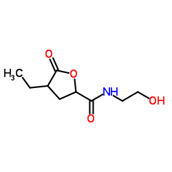 Pentonic acid, 2,3,5-trideoxy-2-ethyl-5-[(2-hydroxyethyl)amino]-5-oxo-, gamma-lactone (9CI) picture