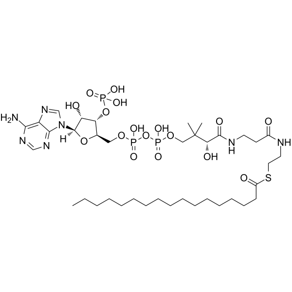 Heptadecanoyl Coenzyme A Structure
