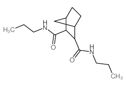 N,N-dipropylnorbornane-2,3-dicarboxamide picture