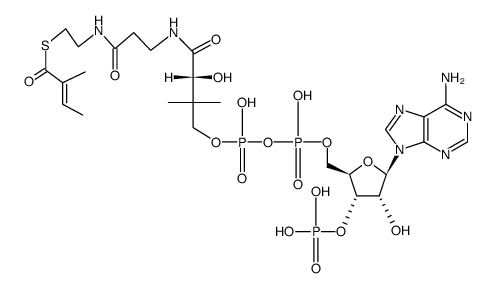 S-(2-methyl-trans-crotonoyl)-coenzyme-A Structure