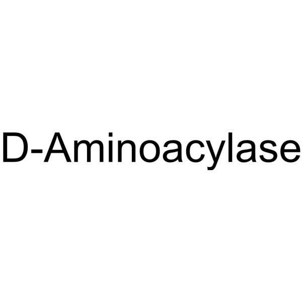 D-AMINOACYLASE AMANO structure