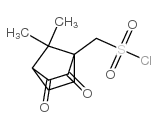 Camphorquinone-10-sulfonyl Chloride Structure