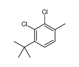 1-tert-butyl-2,3-dichloro-4-methylbenzene结构式