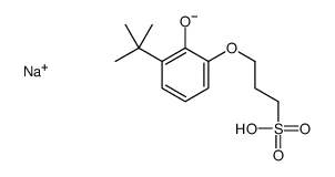 sodium 3-[(1,1-dimethylethyl)-2-hydroxyphenoxy]propanesulphonate结构式