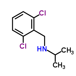 N-(2,6-Dichlorobenzyl)-2-propanamine结构式