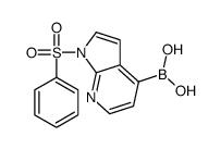 [1-(Phenylsulfonyl)-1H-pyrrolo[2,3-b]pyridin-4-yl]boronic acid Structure