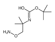 2-Methyl-2-propanyl [1-(aminooxy)-2-methyl-2-propanyl]carbamate结构式