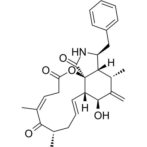 10-Phenyl-[12]-cytochalasins Z16 Structure