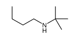 N-tert-butylbutan-1-amine Structure