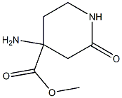 methyl 4-amino-2-oxopiperidine-4-carboxylate结构式