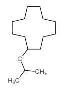 propan-2-yloxycyclododecane结构式