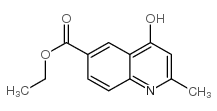 2-甲基-4-羟基-6-喹啉甲酸乙酯图片