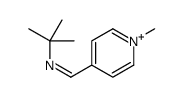 N-tert-butyl-1-(1-methylpyridin-1-ium-4-yl)methanimine Structure