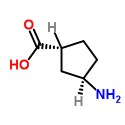 (1R,3R)-3-氨基环戊烷羧酸结构式