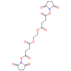 polyethylene glycol bis(succinimidyl succinate) Structure