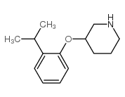 3-(2-propan-2-ylphenoxy)piperidine Structure