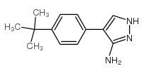 4-(4-(叔丁基)苯基)-1H-吡唑-3-胺结构式