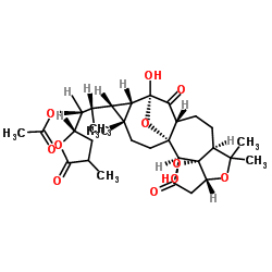 1033288-92-4 structure