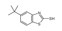 2(3H)-Benzothiazolethione,5-(1,1-dimethylethyl)-(9CI) picture