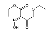 ethyl 4-ethoxy-2-hydroxyimino-3-oxobutanoate结构式