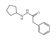 N-cyclopentyl-2-phenyl-acetohydrazide Structure