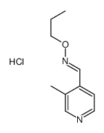 (E)-1-(3-methylpyridin-4-yl)-N-propoxymethanimine,hydrochloride Structure