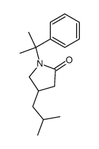 4-isobutyl-1-(2-phenylpropan-2-yl)pyrrolidin-2-one Structure
