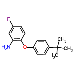 5-Fluoro-2-[4-(2-methyl-2-propanyl)phenoxy]aniline结构式
