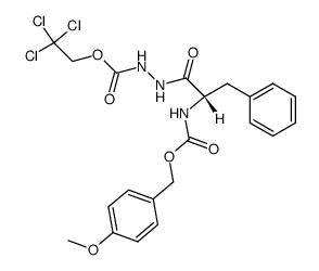 Z(OMe)-Phe-NH-NH-Troc Structure