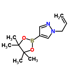 1-(2-PROPEN-1-YL)-4-(4,4,5,5-TETRAMETHYL-1,3,2-DIOXABOROLAN-2-YL)-1H-PYRAZOLE picture