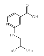 2-(Isobutylamino)isonicotinic acid structure