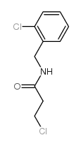 3-CHLORO-N-(2-CHLOROBENZYL)PROPANAMIDE结构式