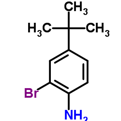 2-bromo-4-tert-butylaniline structure