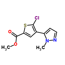 2-Thiophenecarboxylic acid, 5-chloro-4-(1-methyl-1H-pyrazol-5-yl)-, methyl ester Structure