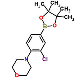 4-(2-Chloro-4-(4,4,5,5-tetramethyl-1,3,2-dioxaborolan-2-yl)phenyl)morpholine Structure